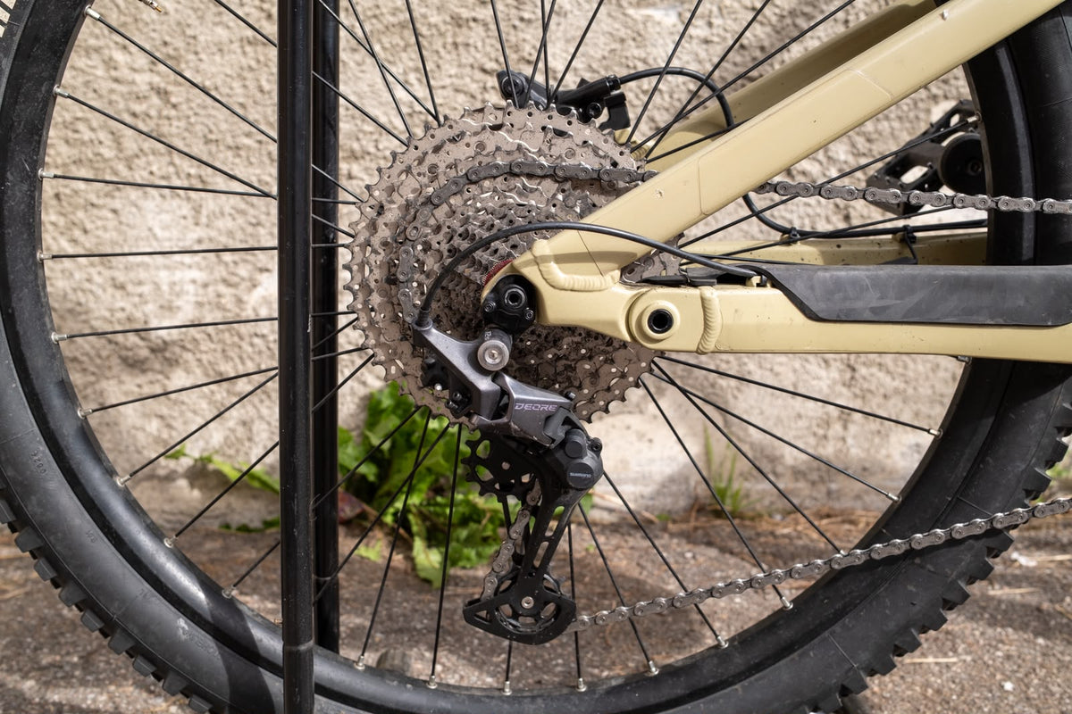 Cannondale Moterra Neo S2 2024 usata