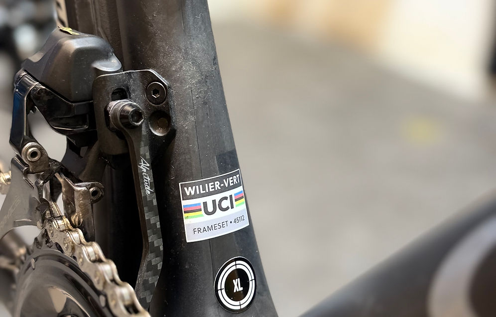 Wilier Triestina Verticale Slr 2024 usata — dettaglio
