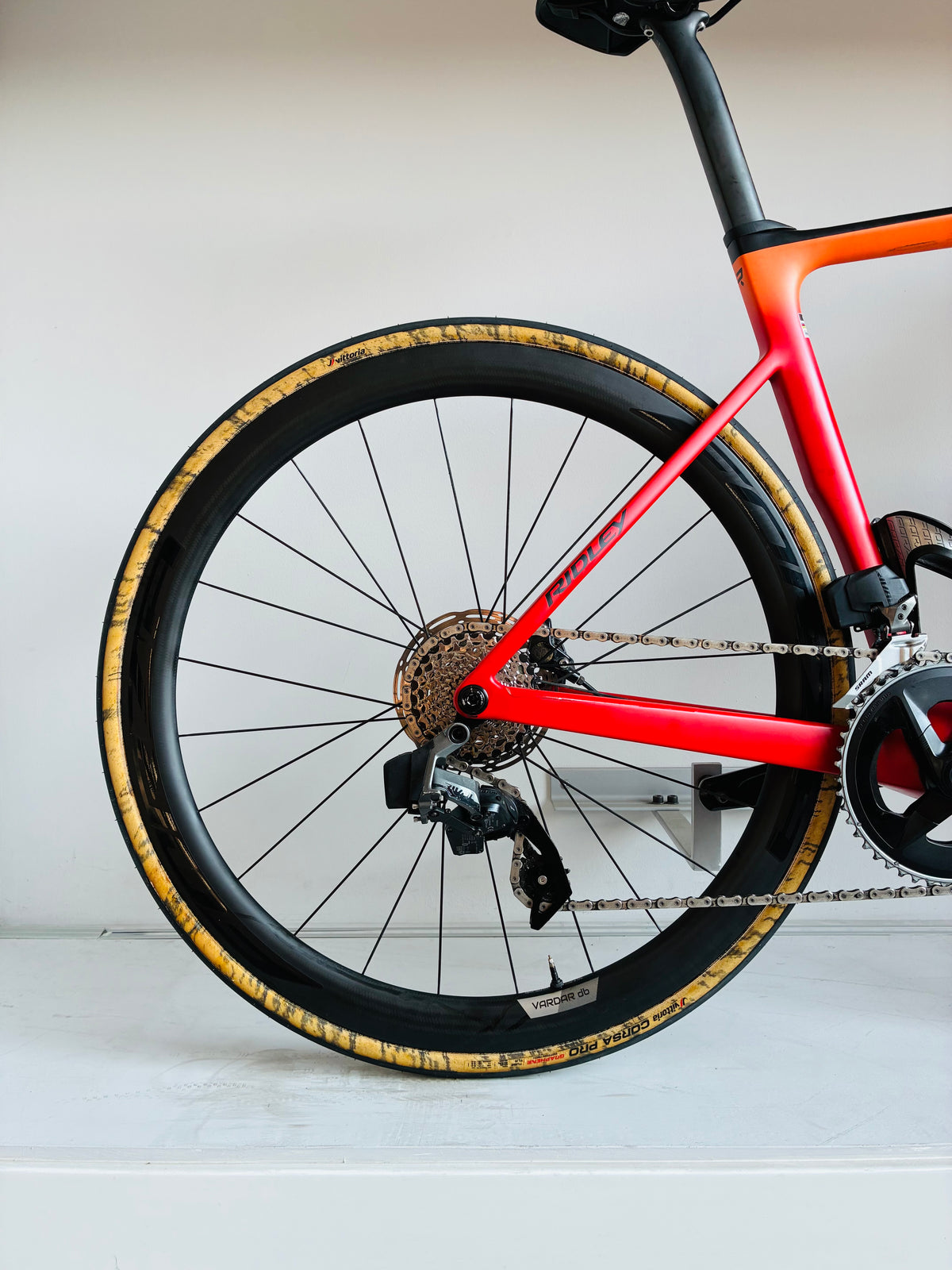Ridley Falcn Rs 2024 usata — dettaglio