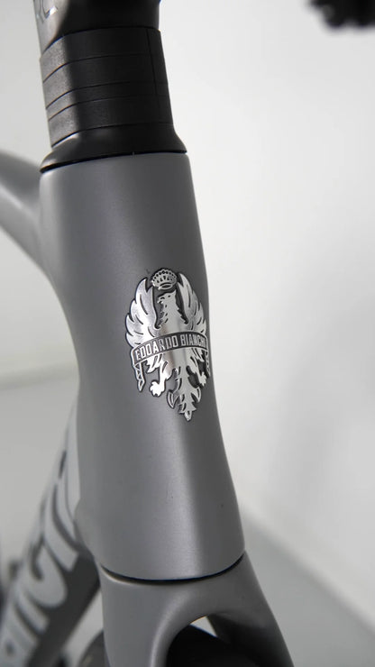 Bianchi Oltre Xr4 2023 usata — dettaglio