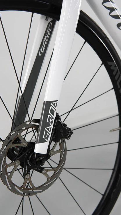 Wilier Triestina Garda 2024 usata — dettaglio