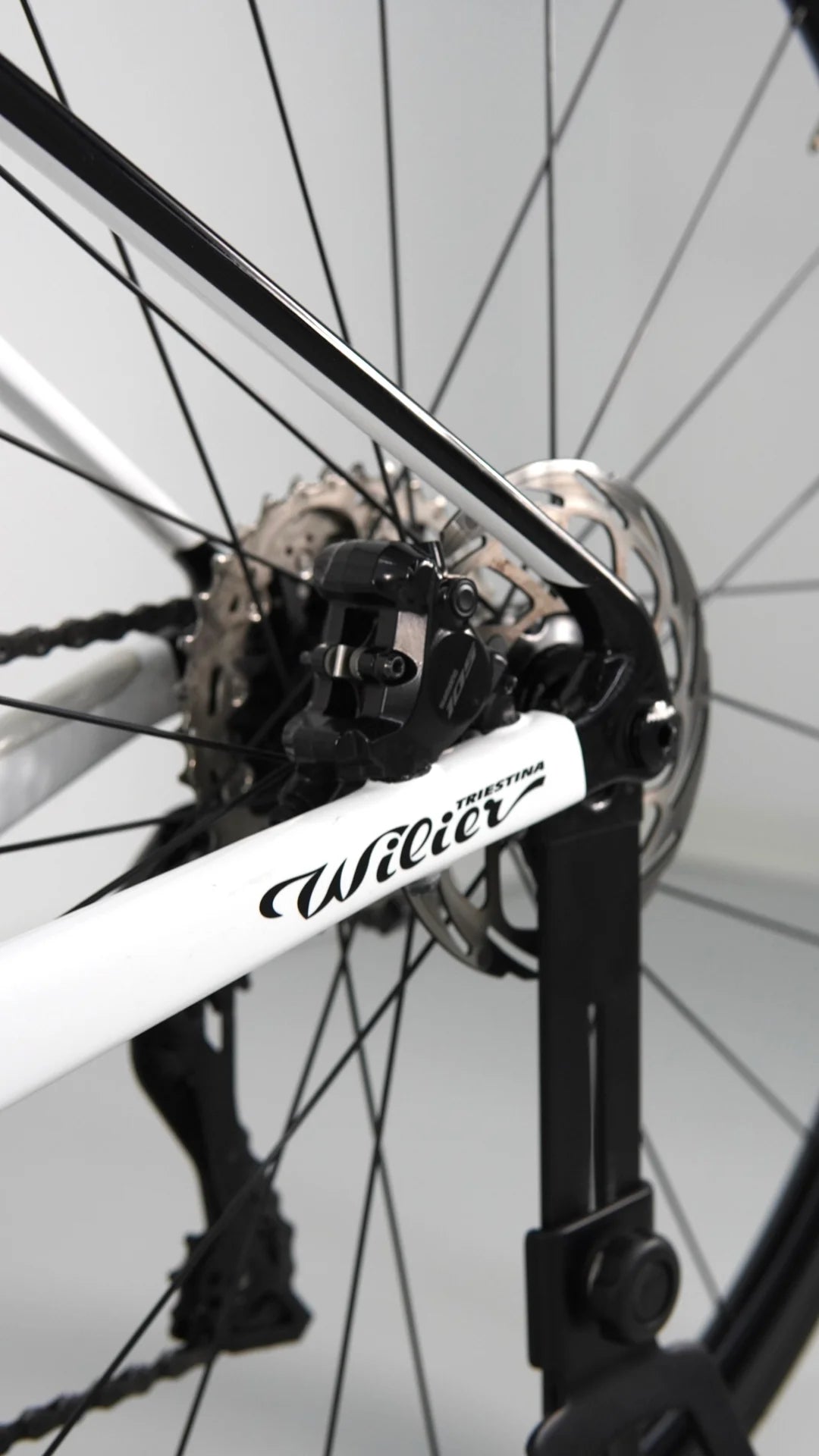 Wilier Triestina Garda 2024 usata — dettaglio