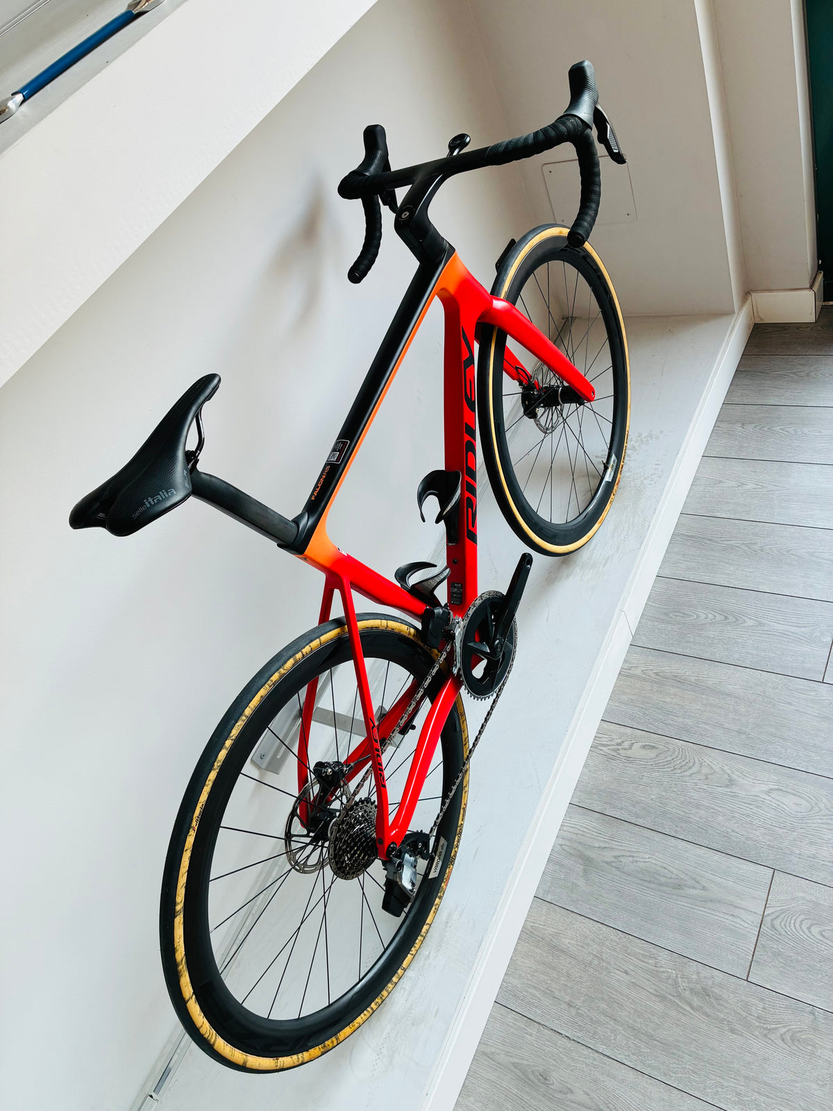 Ridley Falcn Rs 2024 usata — dettaglio