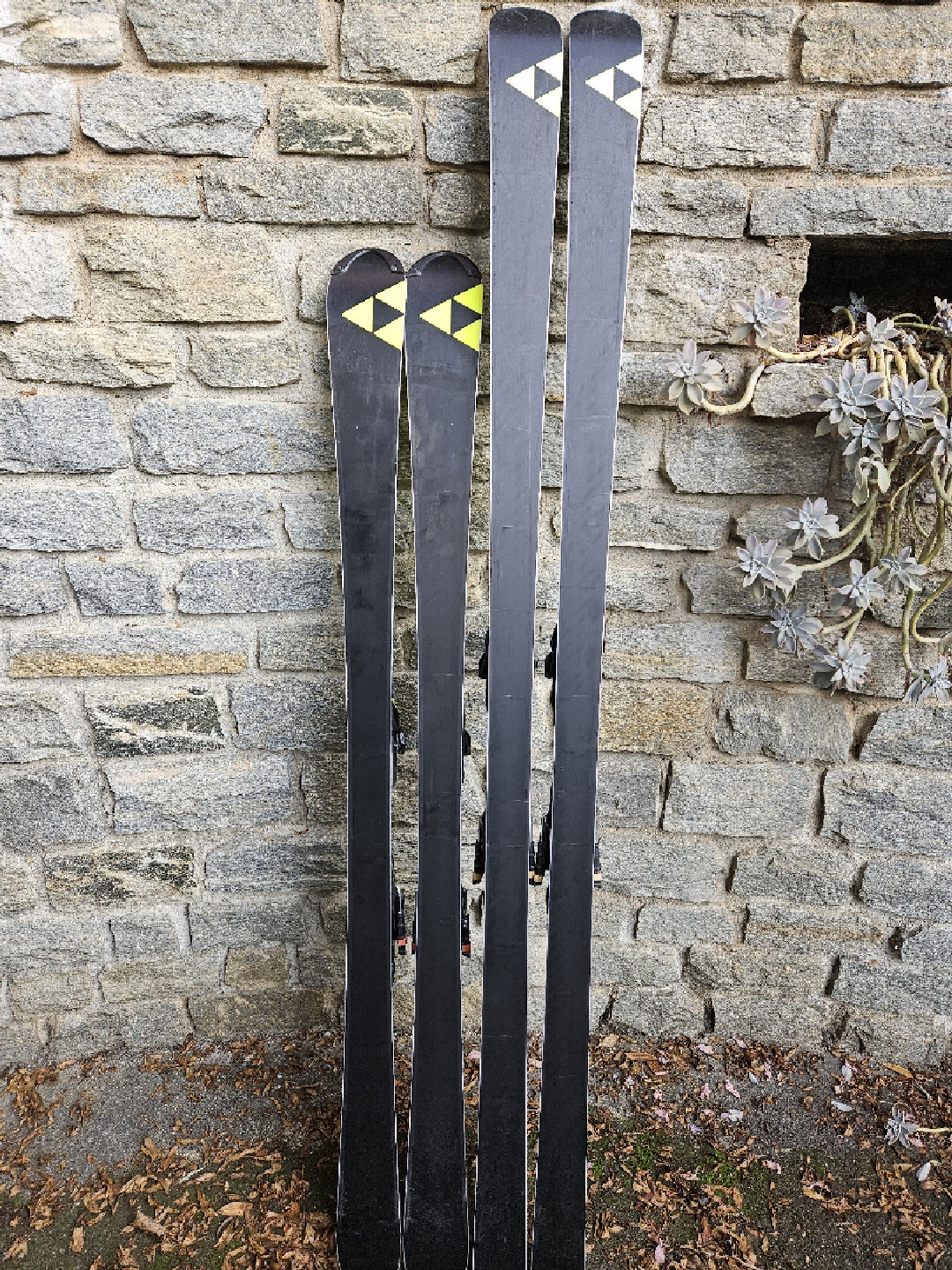 sci da gara Fisher RC4 WC GS 188cm e SL 158cm FIS usati