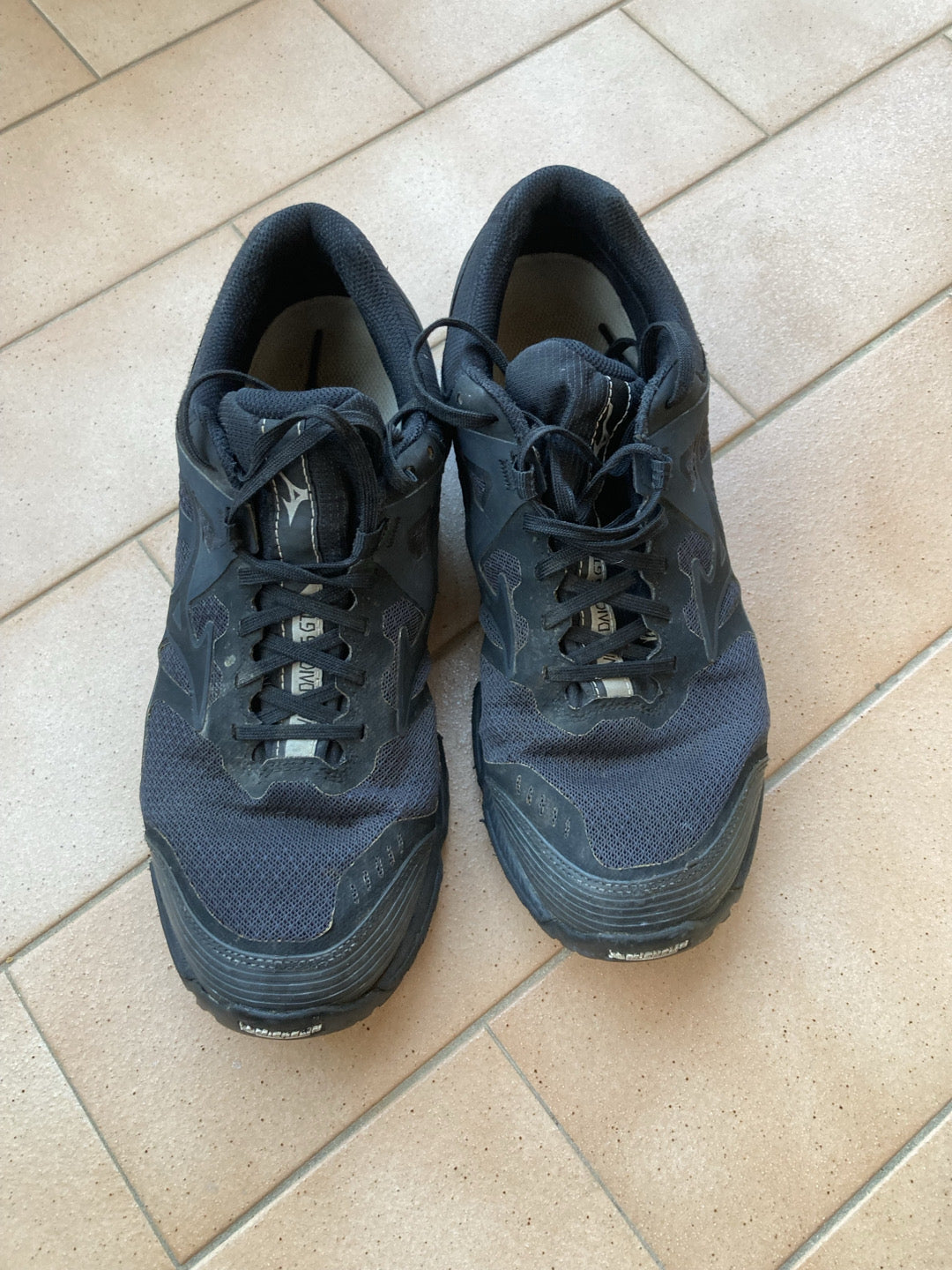 Mizuno Trail Running Wave Daichi 6 GTX tg.42 usate