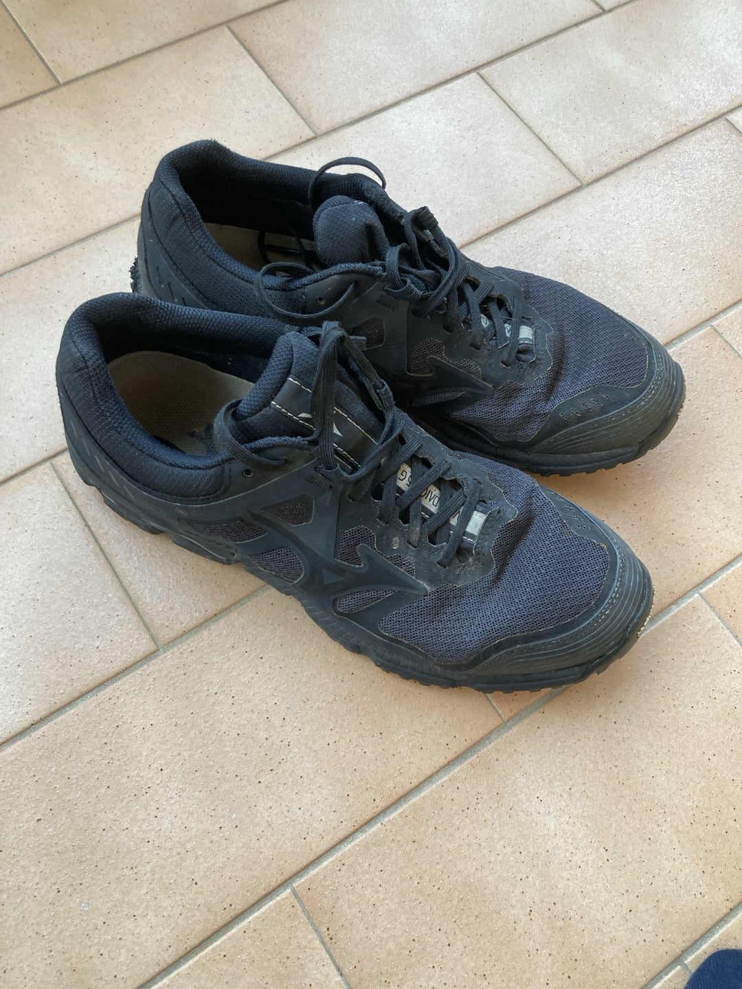 Mizuno Trail Running Wave Daichi 6 GTX tg.42 usate