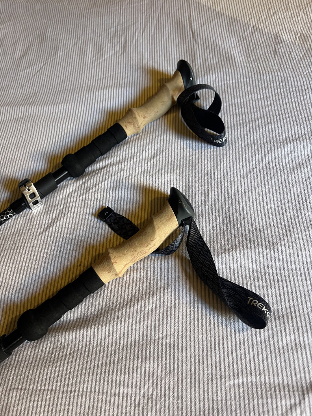 Bastoncini Z-poles Trek Z V2 Trekology usato