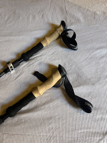 Bastoncini Z-poles Trek Z V2 Trekology usato