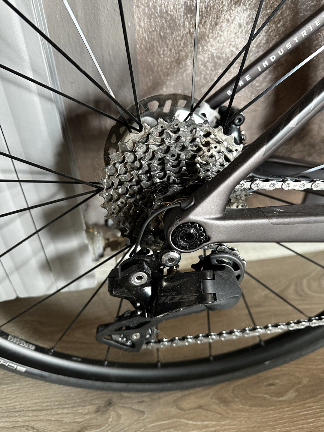 KTM rivelatore alto master 2024 mis 49