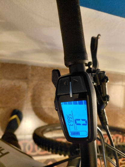 Bici e-bike MTB AllMnt2 Haibike tg. XL usata