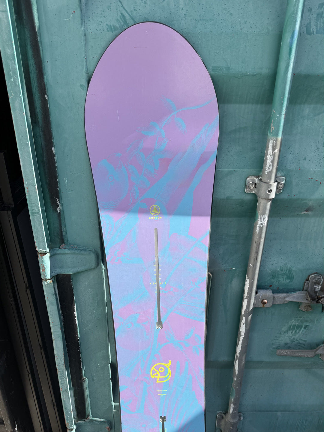 Burton Family Tree Alekesam Camber Snowboard 156 Usata