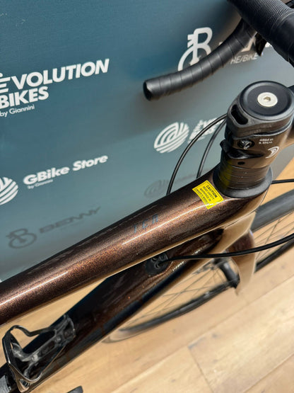 Giant TCR 2 Disc Taglia S - Usata