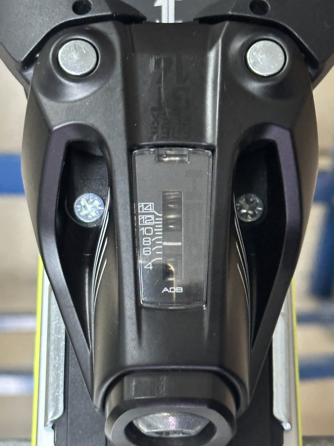 175cm Sci Head WC Rebels e-Speed r16.9 2022 usati