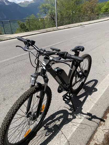 e bike NiloX x6 USATO