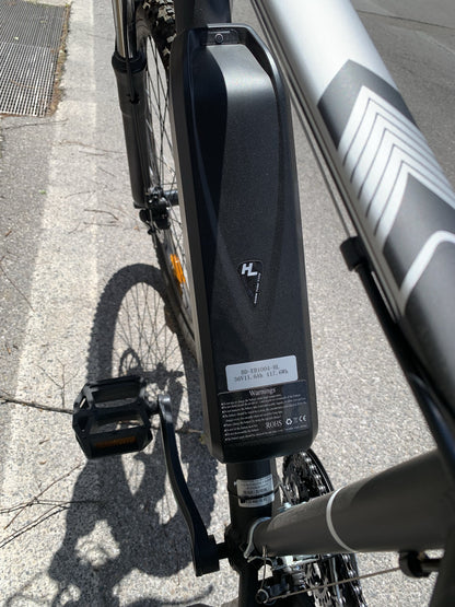 e bike NiloX x6 USATO