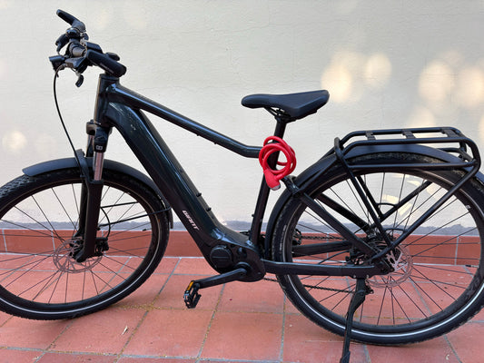 E-Bike Giant Explore E+2 taglia L usata