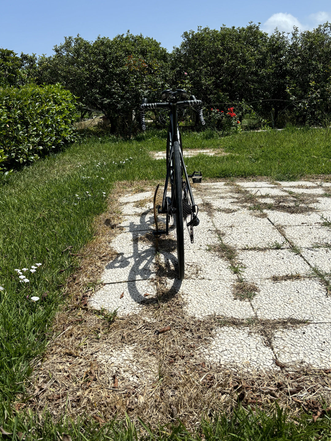 giant tcr ccc 2021 team tg XS usata