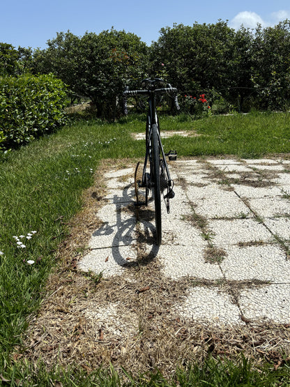 giant tcr ccc 2021 team tg XS usata