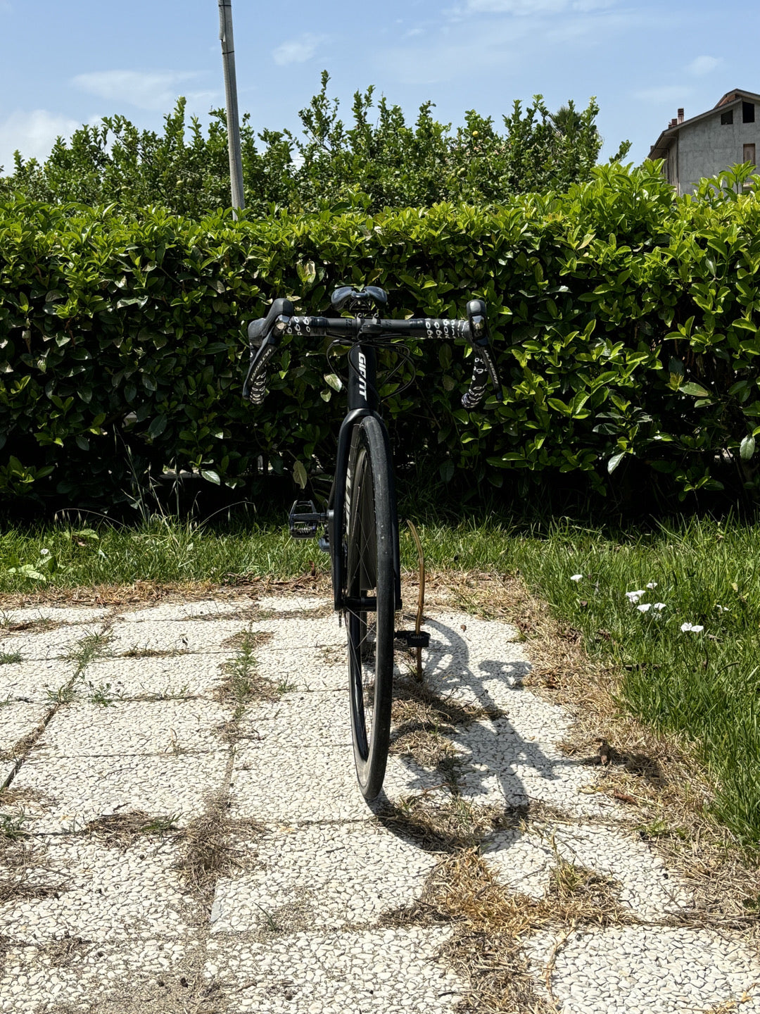 giant tcr ccc 2021 team tg XS usata