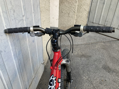 Mountain bike Bianchi taglia S