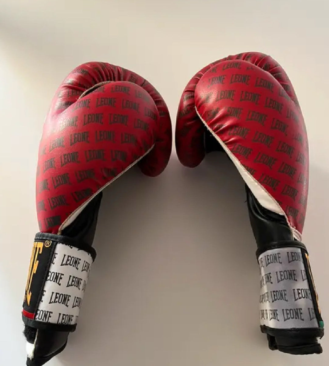 Guantoni Boxe Leone usati