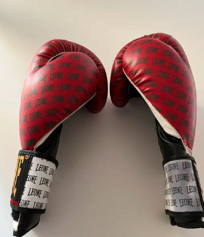 Guantoni Boxe Leone usati