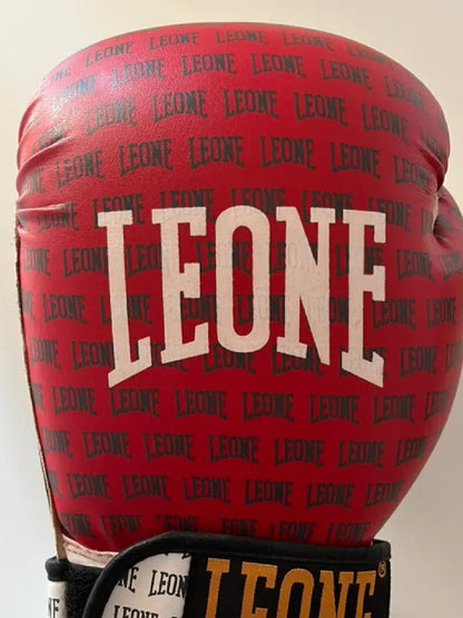 Guantoni Boxe Leone usati