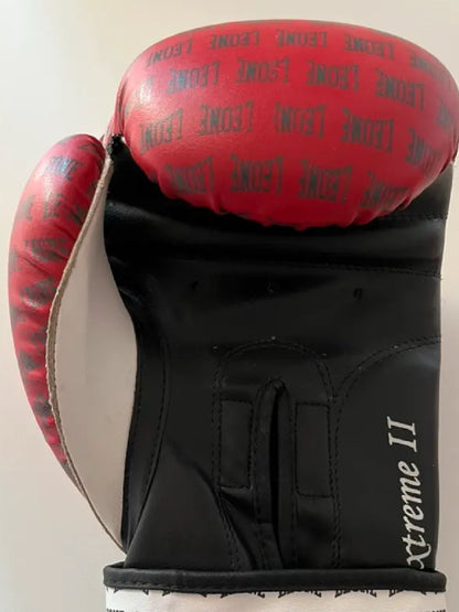 Guantoni Boxe Leone usati