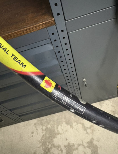 Bastoncini sci 115cm Gabel National Team DH – Super-G / Agonismo usati