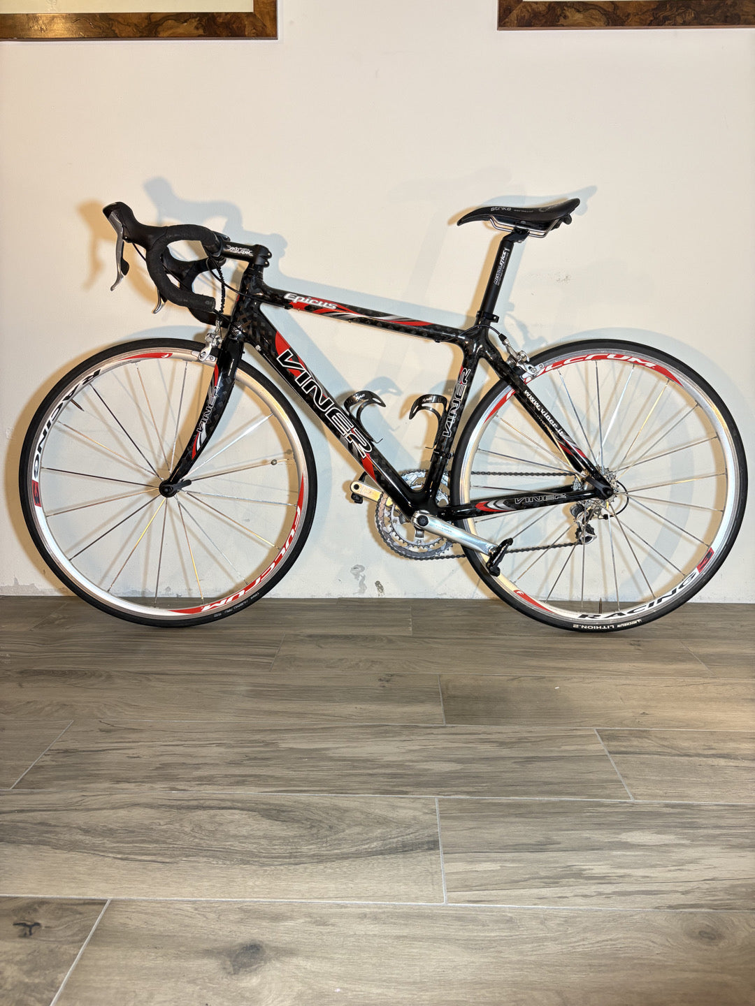 Viner Epicus Full Carbon Shimano Ultegra
