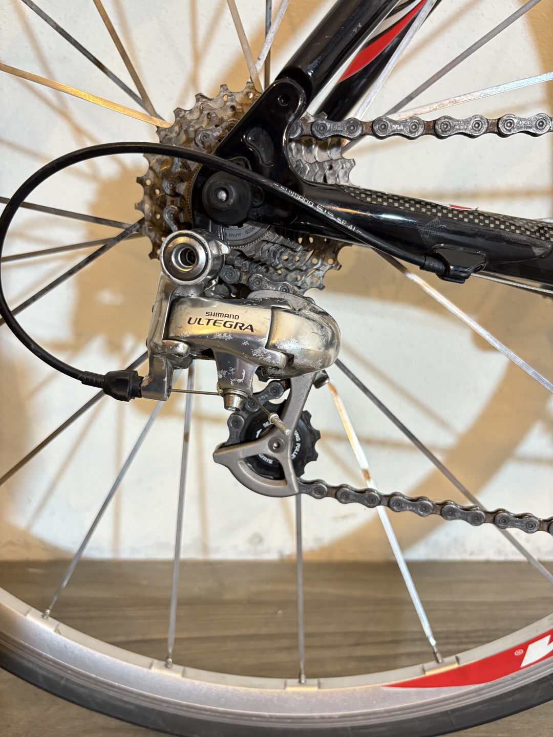 Viner Epicus Full Carbon Shimano Ultegra