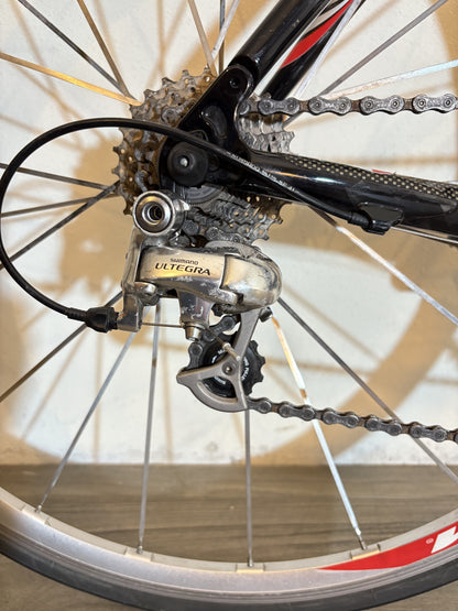 Viner Epicus Full Carbon Shimano Ultegra