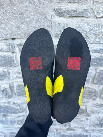 Scarpette arrampicata WILDCLIMB PANTERA 2.0 tg38.5