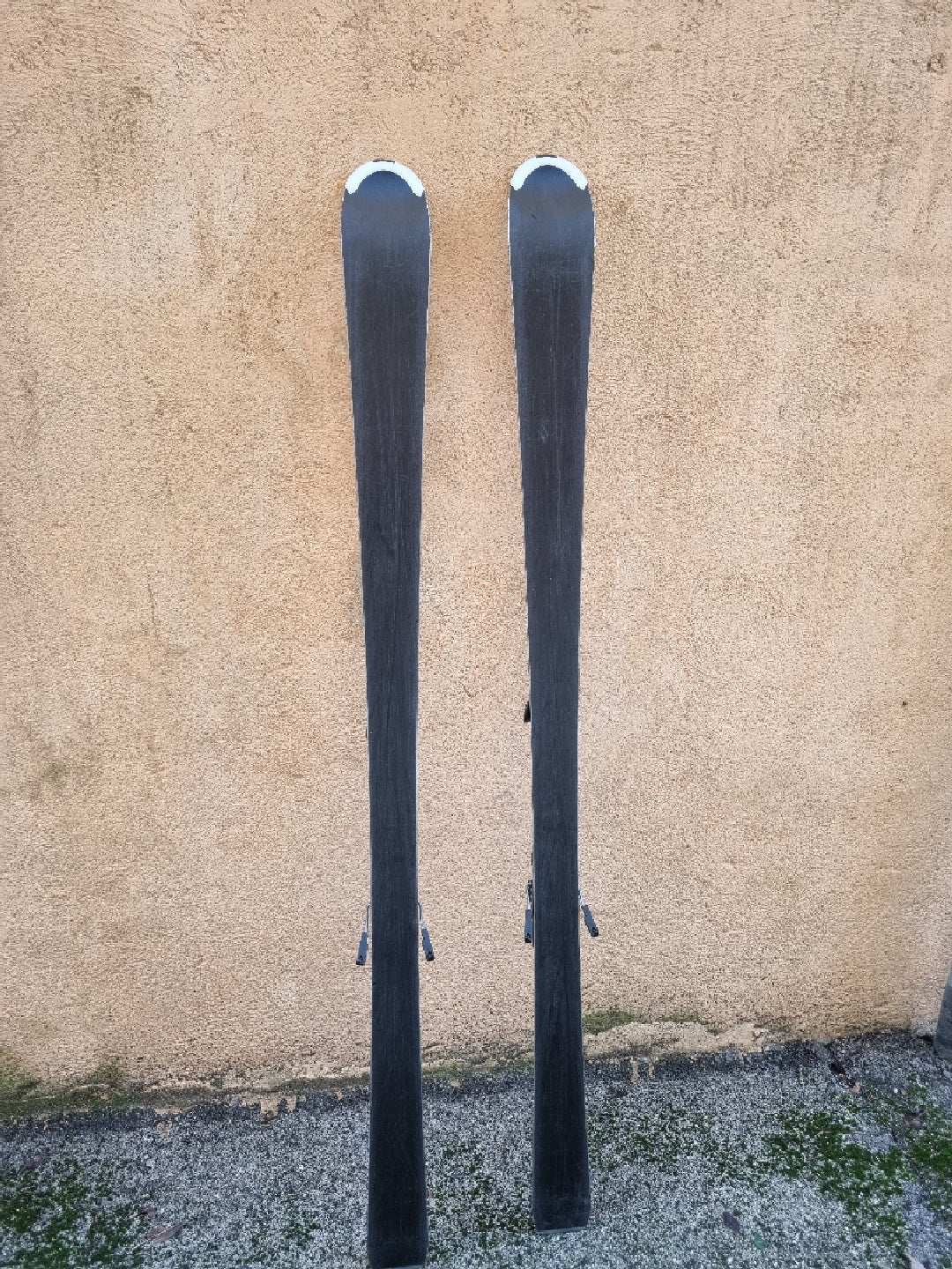 Sci Salomon 24 Speed Powerline 172cm multiraggio usati