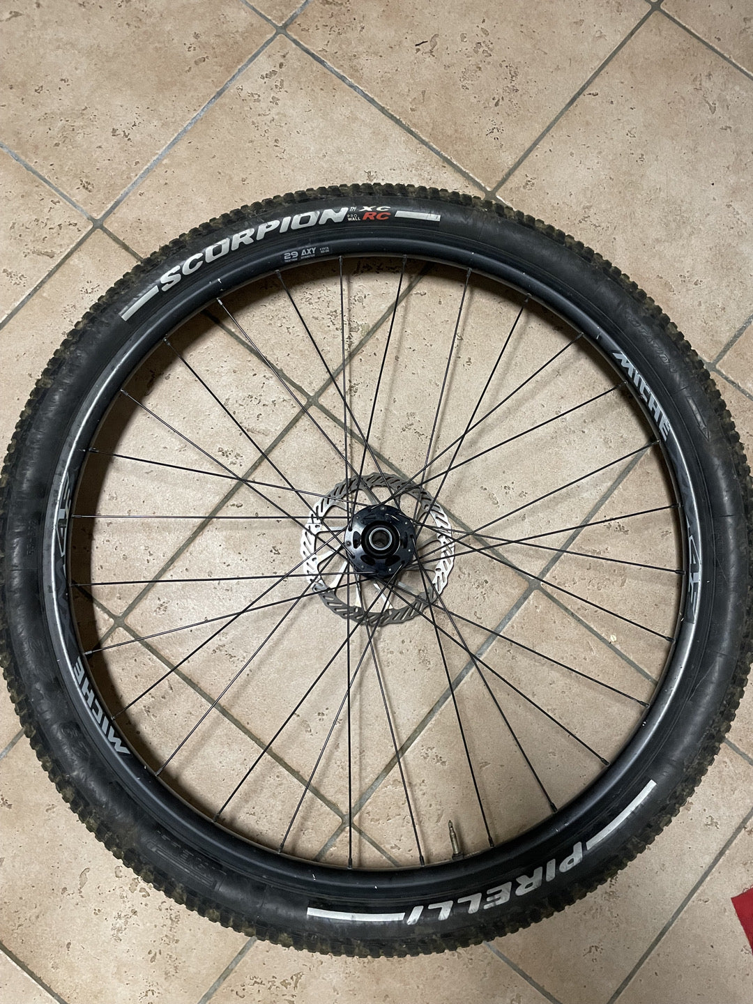 coppia cerchi bici Miche xm45 usati