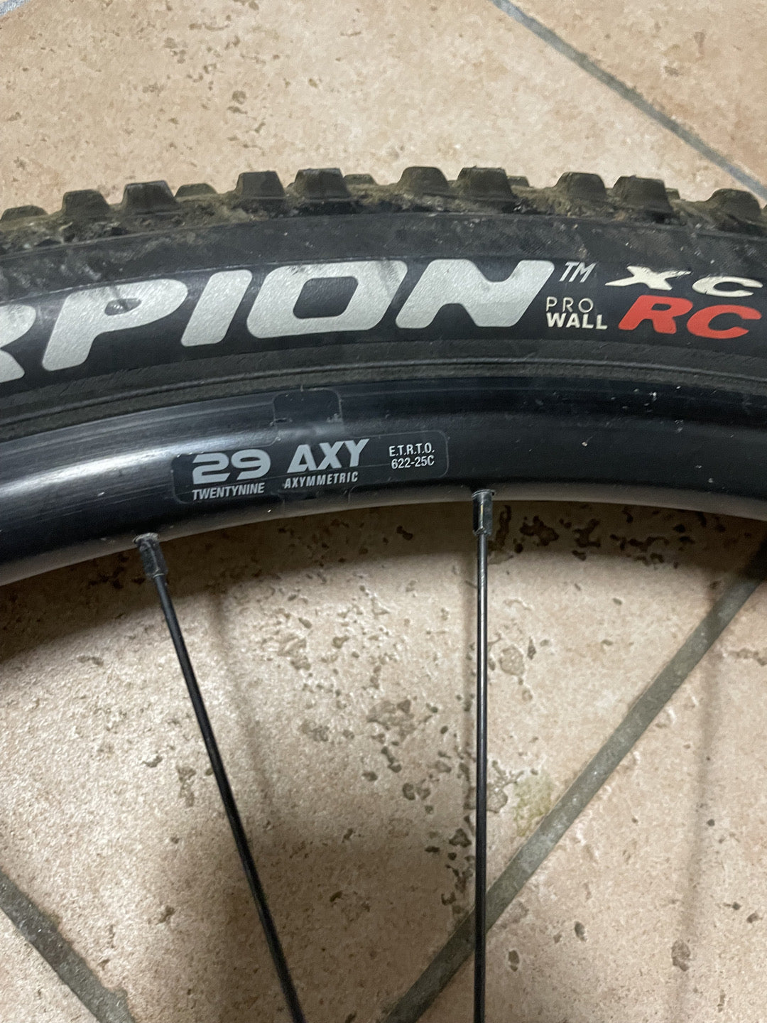 coppia cerchi bici Miche xm45 usati