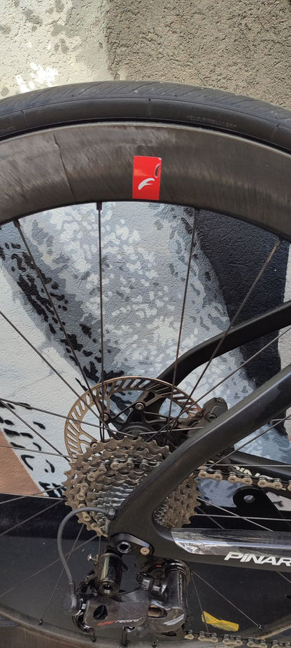 PINARELLO PRINCE CAMPAGNOLO SUPER RECORD tg 51 cm USATA