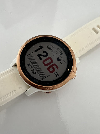 Garmin fenix 6s pro usato