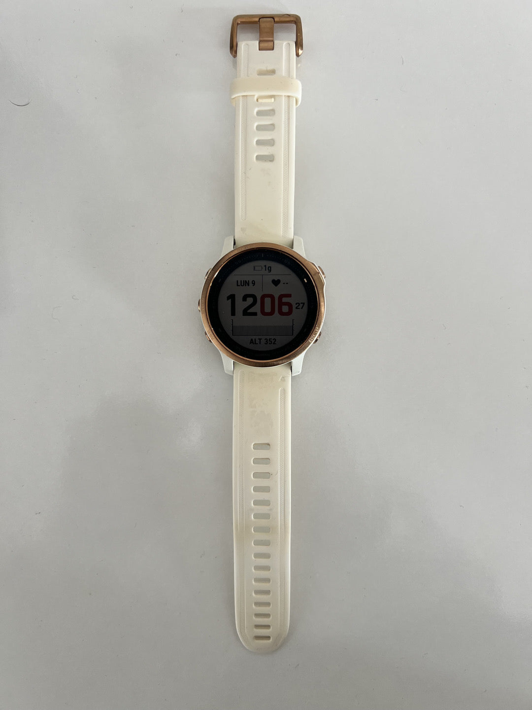 Garmin fenix 6s pro usato
