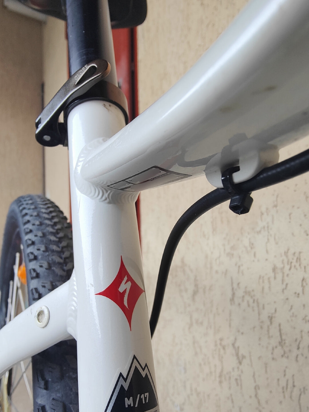 Specialized MTB donna TG. M mountain bike