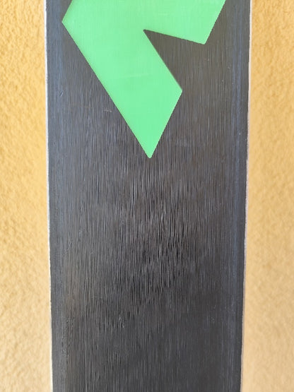 Nordcica WC GS Fis 193cm R30 usati