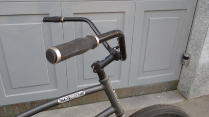 Bici Beach Cruiser di 3G Bikes (Los Angeles)