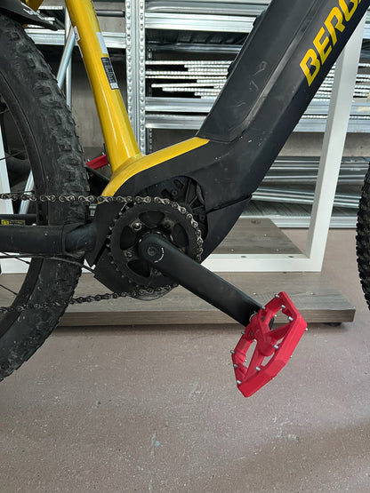 E-MTB Bergamont E-Revox FMN tg. XL usato