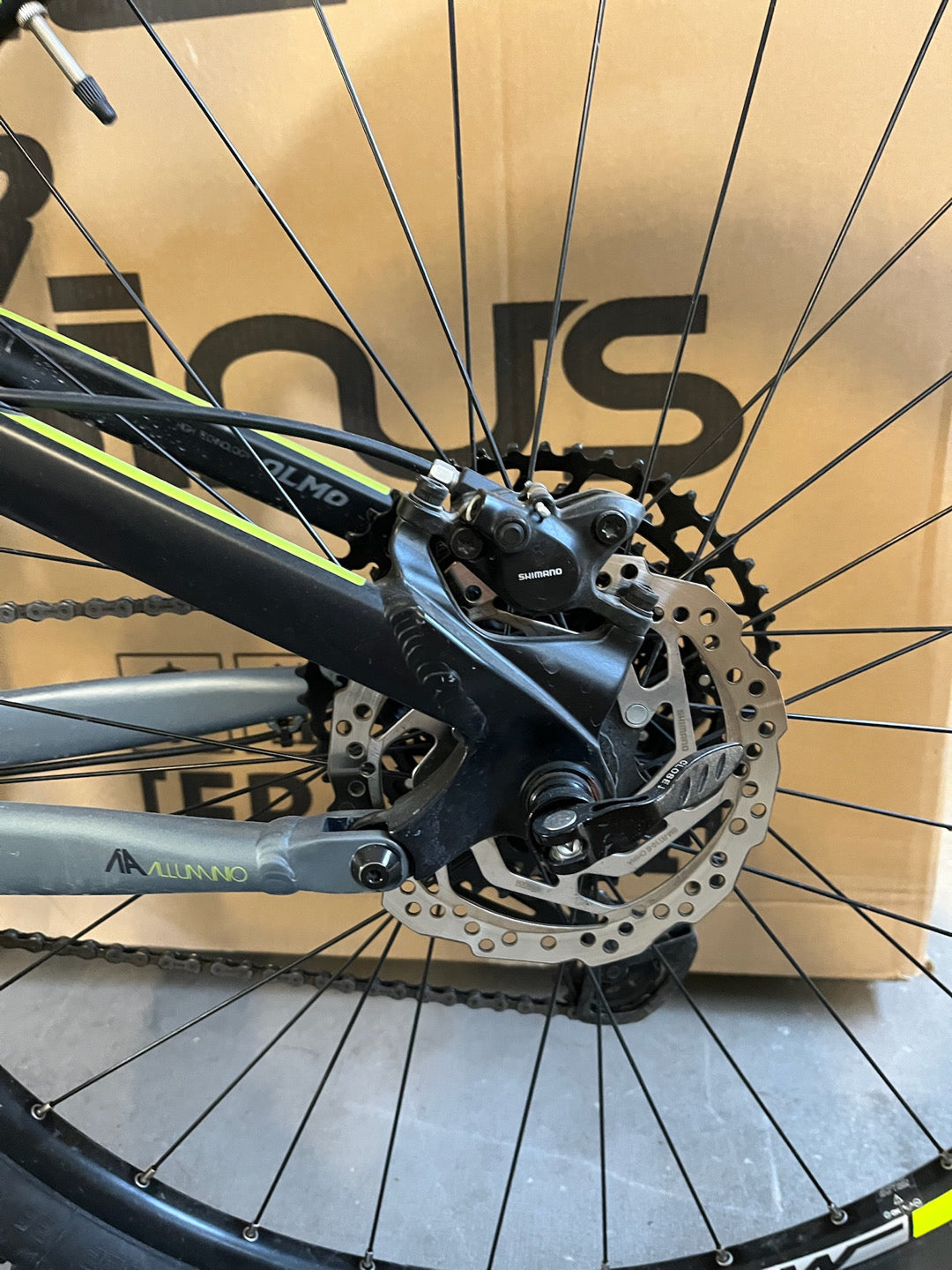 MTB Olmo Limone tg. S usato noleggio