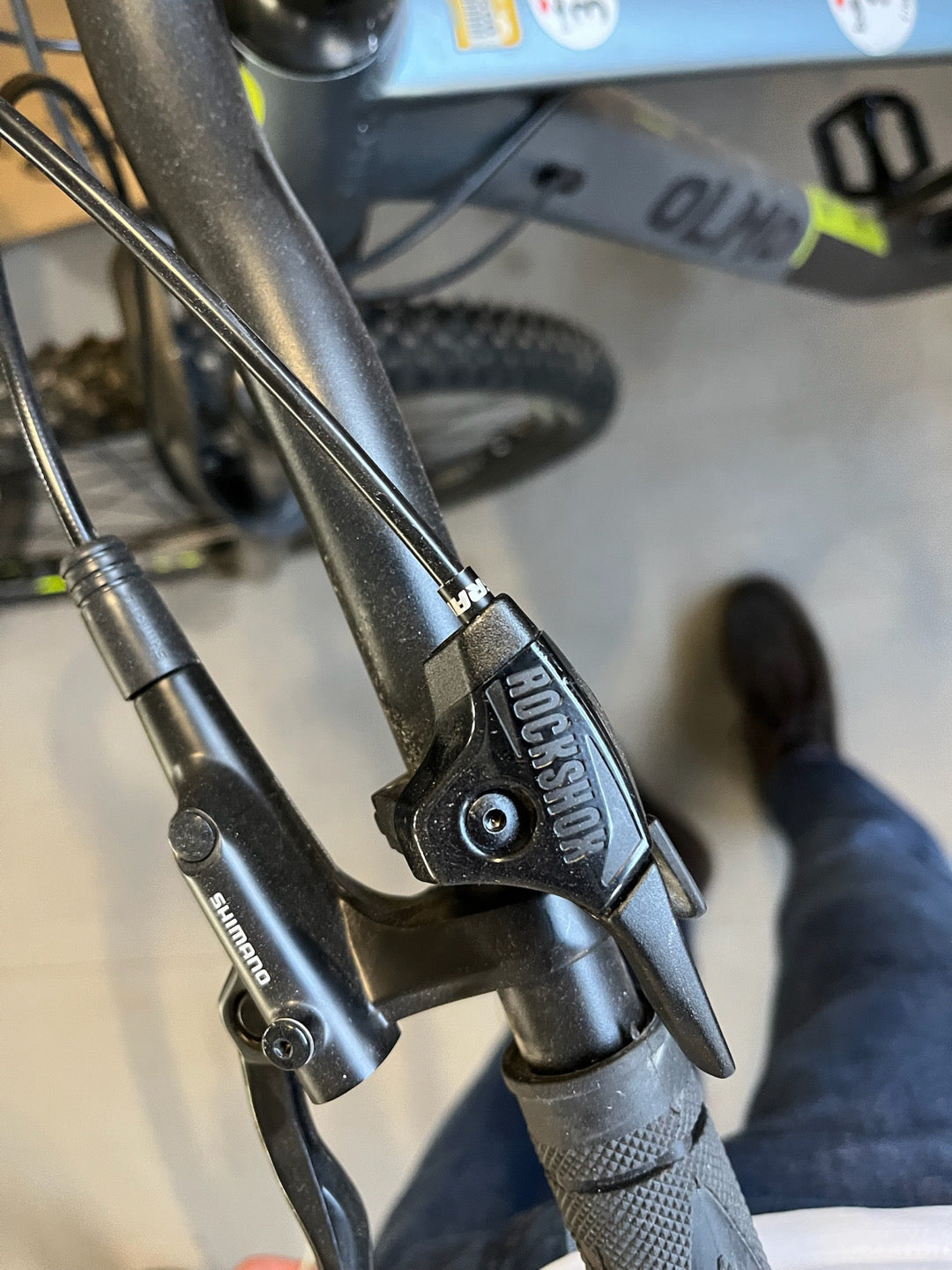 MTB Olmo Limone tg. S usato noleggio