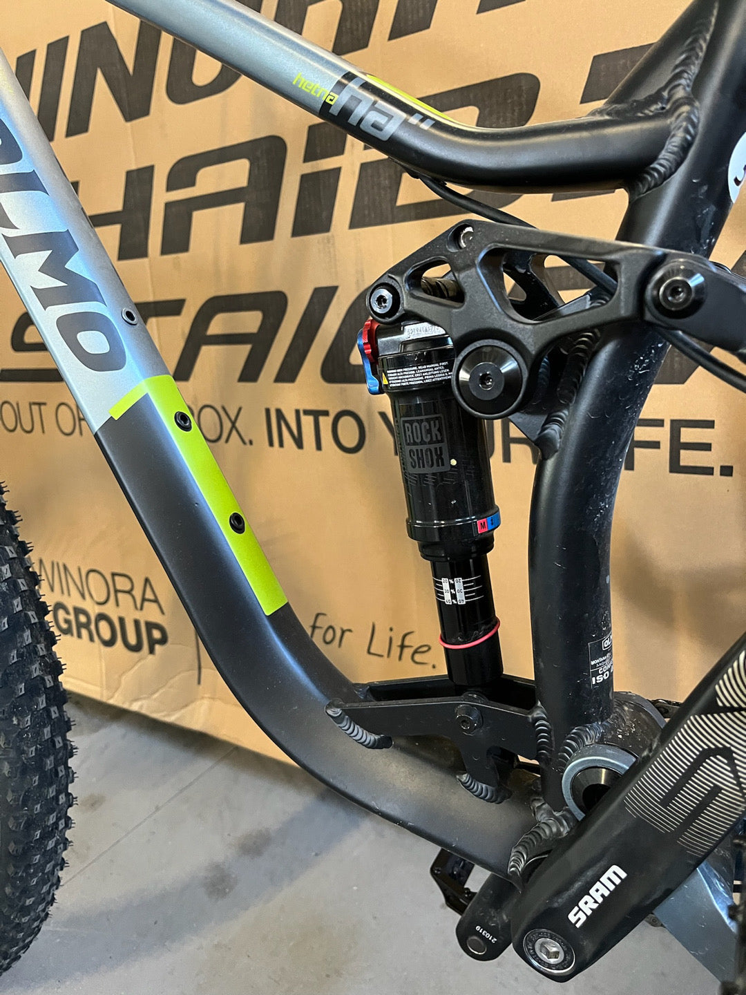 MTB Olmo Limone tg. S usato noleggio