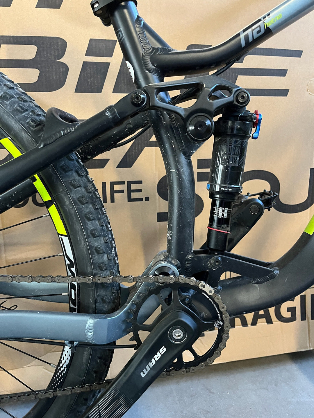 MTB Olmo Limone tg. S usato noleggio