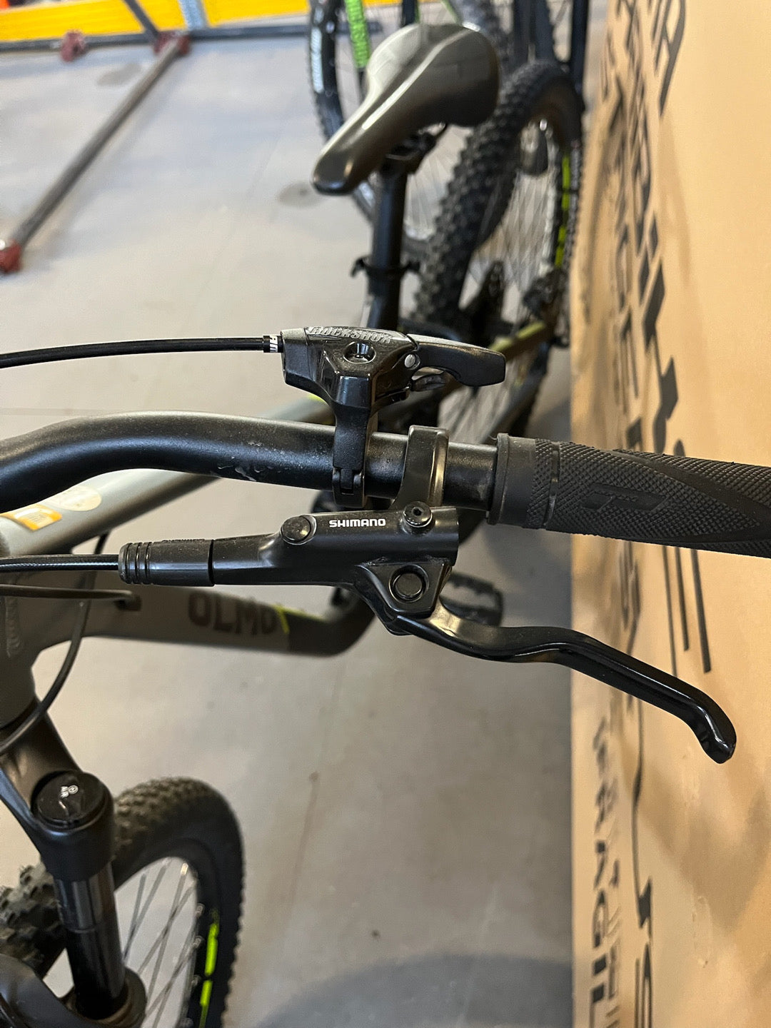 MTB Olmo Limone tg. S usato noleggio