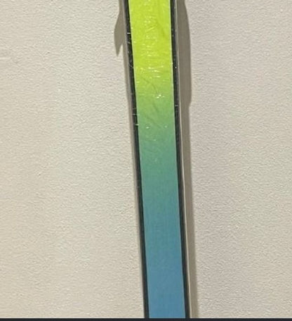 Fischer The CURV 178cm 2026/2027 con Noize Control Nuovi