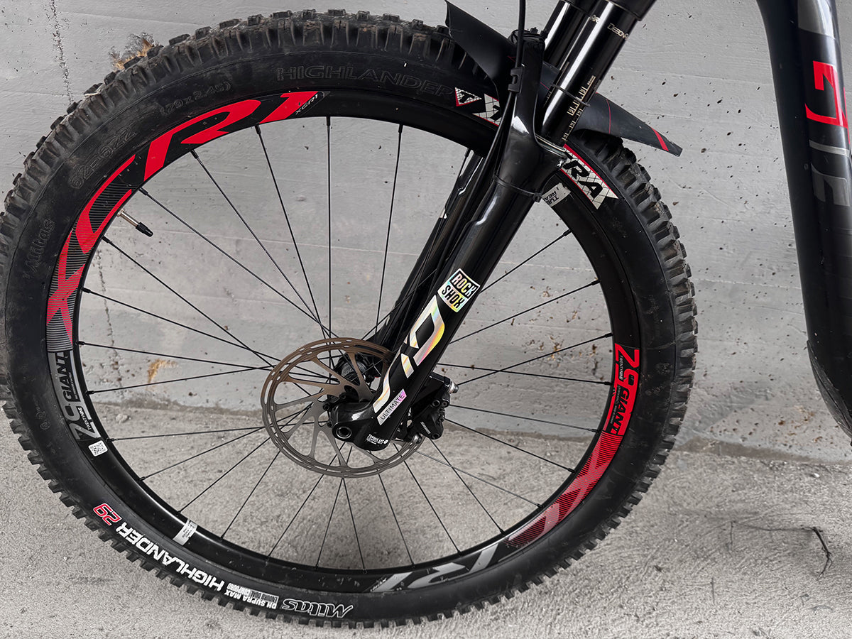 MTB Anthem Advanced Pro 29er 1 taglia L usata